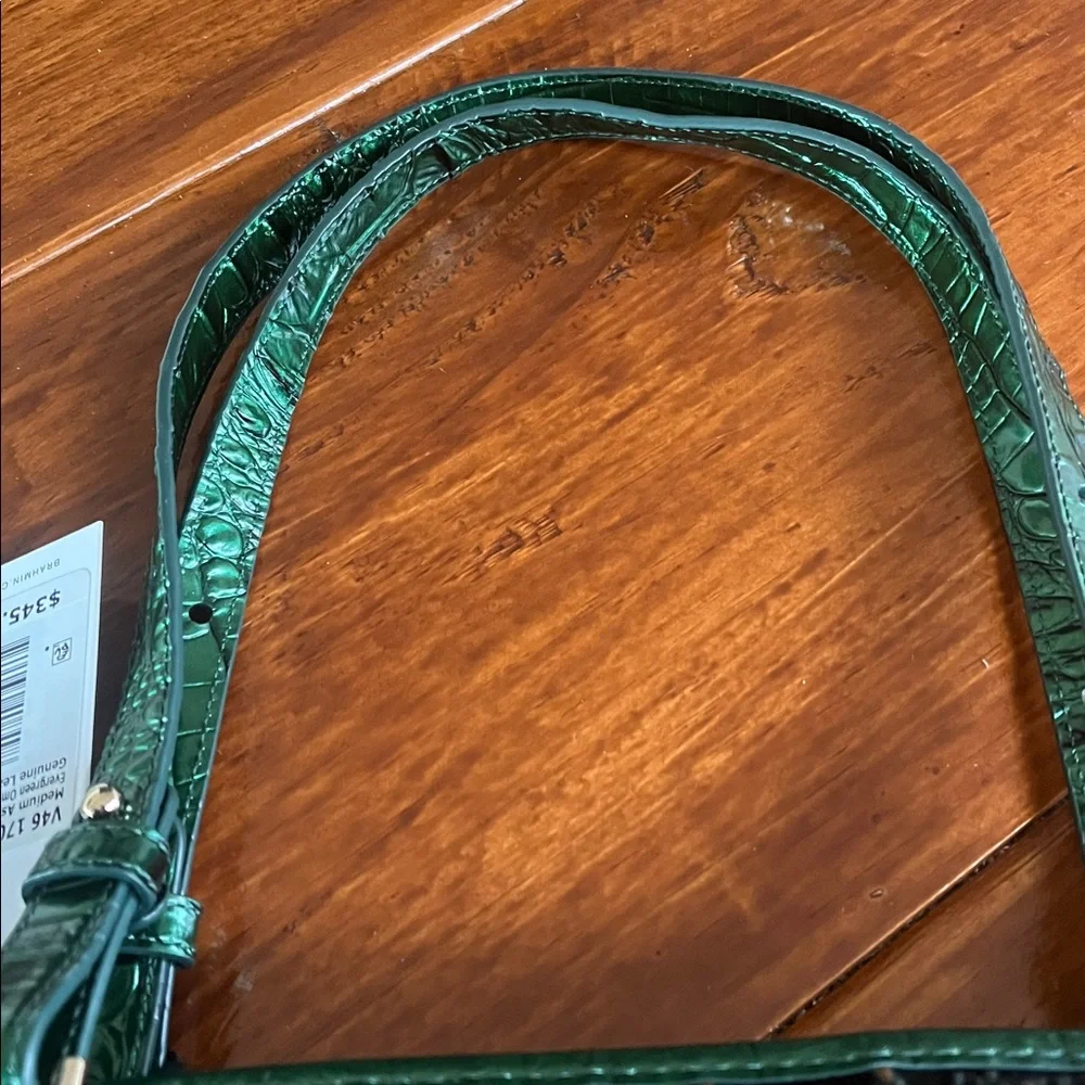 NWT Brahmin EVERGREEN Medium Asher Ombre Melbourne Tote